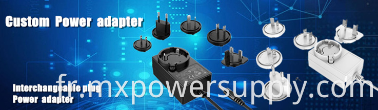 24V1A interchangeable power adapter with ul fcc ce gs kc pse 